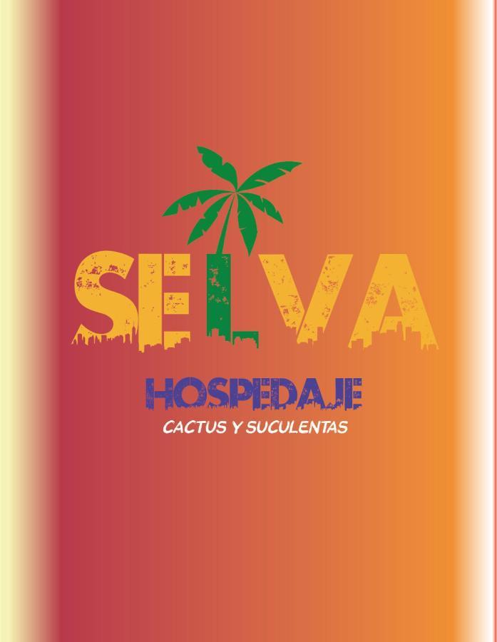 Selva Hospedaje Valparaíso Εξωτερικό φωτογραφία